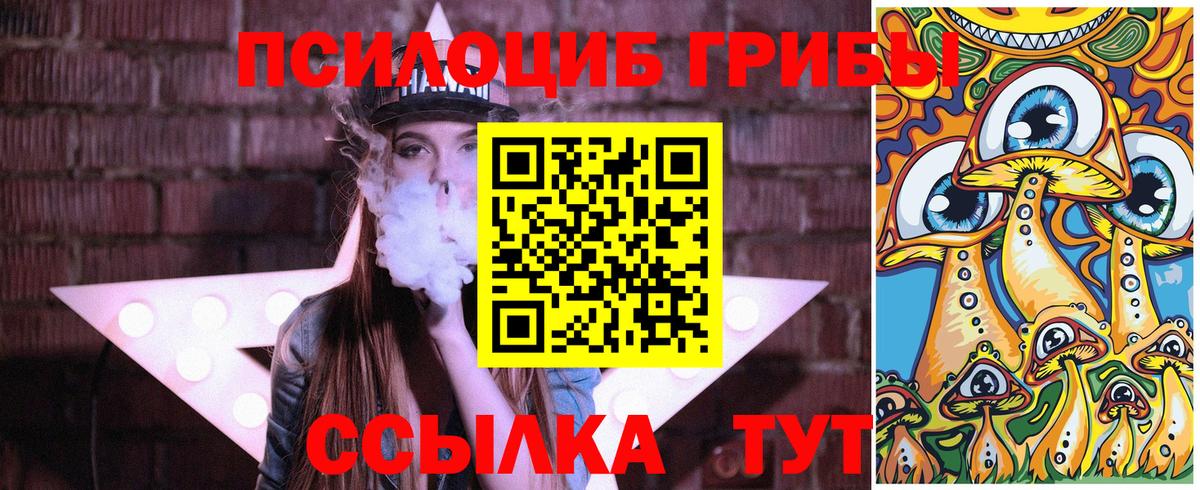 Лесной  Псилоцибиновые грибы Psilocybe  Вход с VPN 